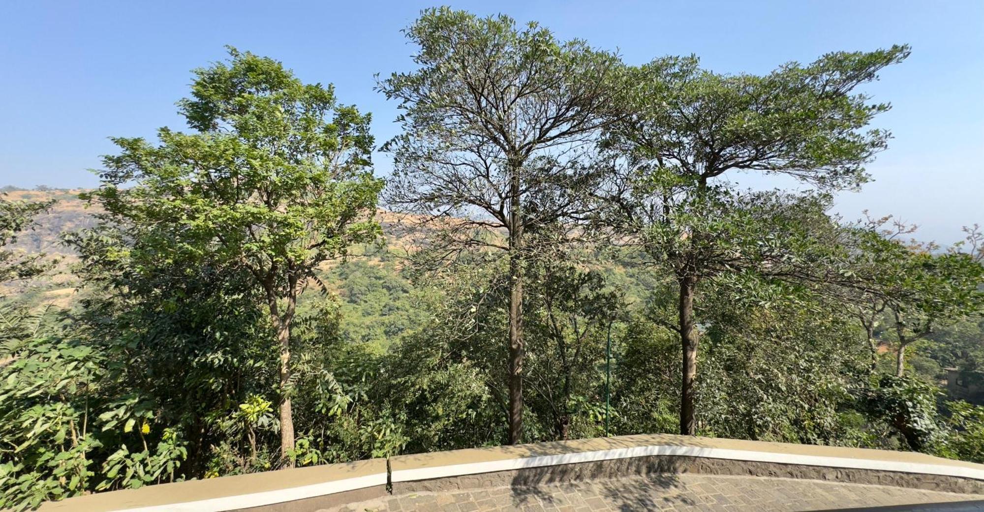 Upper Deck Resort - Stay And Relax At The Highest Peak ロナバラ エクステリア 写真